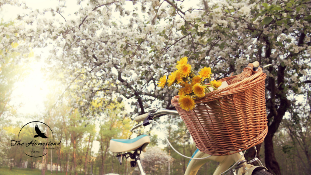 A vintage bicycle with a wicker basket filled with yellow flowers is parked under blooming trees. Sunlight filters through the branches, and a logo reading The Homestead is in the lower left corner.